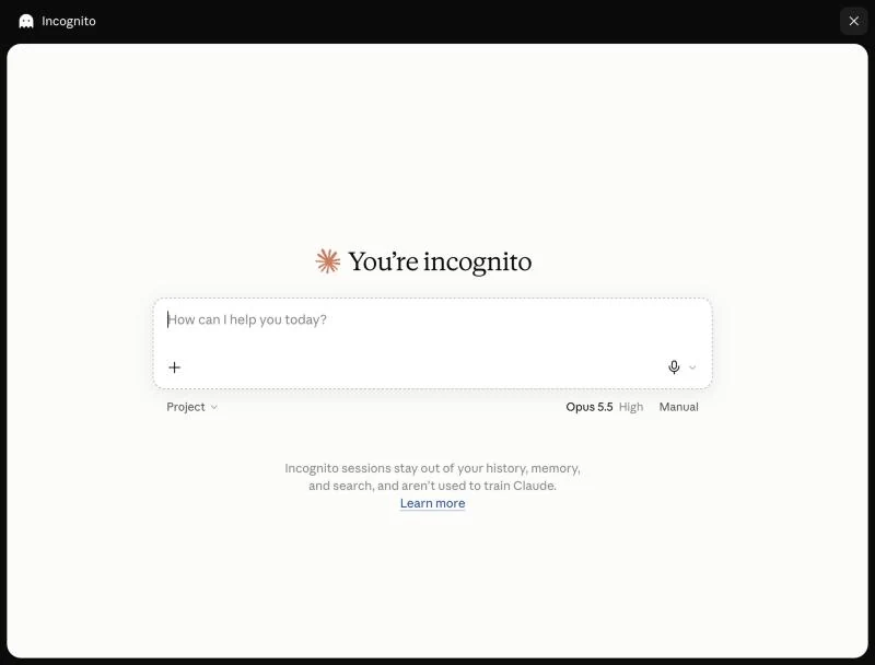 מסך Incognito: You're incognito